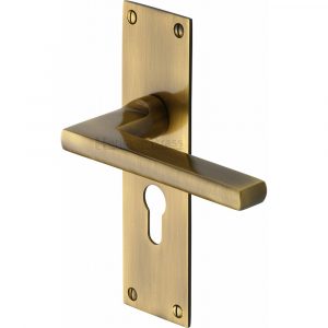 Door Handle Euro Profile Plate Trident Desig
