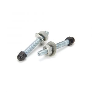 Steel 60mm Letter Plate Screw (2)