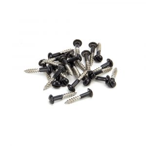 SS 3.5 x 20  Roundhead Screws (25)
