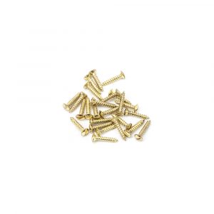 SS 4x¾” Countersunk Raised Head Screws (25)