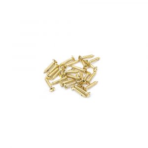 SS 6x¾” Countersunk Raised Head Screws (25)