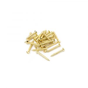 SS 8×1½” Countersunk Raised Head Screws (25)