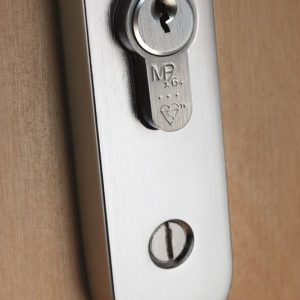 Locks, Latches and Security