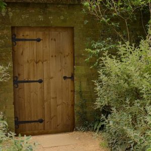 Redwood and Hemlock Doors